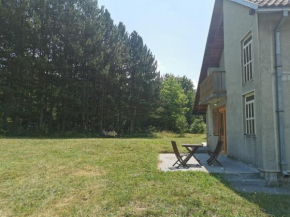 Pine corner Mojkovac
